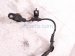 2006 Honda S2000 Front Driver Abs Wheel Speed Sensor 57455 S2A 003 Replacement 2006 Honda S2000 Front Driver Abs Wheel Speed Sensor 57455 S2A 003 Replacement thumbnail