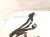 2021 Honda CR V Dash Instrument Wire Harness Hyb 32117 TPG A10 Replacement 2021 Honda CR V Dash Instrument Wire Harness Hyb 32117 TPG A10 Replacement thumbnail