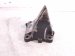 2006 Honda S2000 Engine/motor Passenger Engine Mount Bracket 2.0l 50824 S2A 000 Replacement 2006 Honda S2000 Engine/motor Passenger Engine Mount Bracket 2.0l 50824 S2A 000 Replacement thumbnail