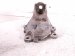 2006 Honda S2000 Engine/motor Driver Engine Mount Bracket 2.0l 50825 S2A 000 Replacement 2006 Honda S2000 Engine/motor Driver Engine Mount Bracket 2.0l 50825 S2A 000 Replacement thumbnail