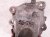 2006 Honda S2000 Engine/motor Driver Engine Mount Bracket 2.0l 50825 S2A 000 Replacement 2006 Honda S2000 Engine/motor Driver Engine Mount Bracket 2.0l 50825 S2A 000 Replacement thumbnail
