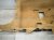 2011 Porsche Panamera Ground Front Passenger Floor Carpet Tan 970 551 012 33 7K0 Replacement 2011 Porsche Panamera Ground Front Passenger Floor Carpet Tan 970 551 012 33 7K0 Replacement thumbnail