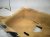 2011 Porsche Panamera Ground Front Passenger Floor Carpet Tan 970 551 012 33 7K0 Replacement 2011 Porsche Panamera Ground Front Passenger Floor Carpet Tan 970 551 012 33 7K0 Replacement thumbnail