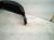 2015 Lexus Rx350 Rear Passenger Inner Fender Liner 65637 48030 Replacement 2015 Lexus Rx350 Rear Passenger Inner Fender Liner 65637 48030 Replacement thumbnail