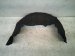 2015 Lexus Rx350 Rear Driver Inner Fender Liner 65638 48030 Replacement 2015 Lexus Rx350 Rear Driver Inner Fender Liner 65638 48030 Replacement thumbnail