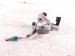 2018 Honda Accord High Pressure Fuel Pump 2.0l 06161 6B2 305 Replacement 2018 Honda Accord High Pressure Fuel Pump 2.0l 06161 6B2 305 Replacement thumbnail