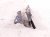 2018 Honda Accord Passenger Hood Hinge Grey 60120 TVA A00ZZ Replacement 2018 Honda Accord Passenger Hood Hinge Grey 60120 TVA A00ZZ Replacement thumbnail