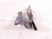 2018 Honda Accord Passenger Hood Hinge Grey 60120 TVA A00ZZ Replacement 2018 Honda Accord Passenger Hood Hinge Grey 60120 TVA A00ZZ Replacement thumbnail