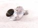 2018 Honda Accord Turbocharger Outlet Pipe 2.0t 17280 6B2 A00 Replacement 2018 Honda Accord Turbocharger Outlet Pipe 2.0t 17280 6B2 A00 Replacement thumbnail