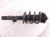 2018 Honda Accord Front Passenger Strut Absorber + Spring 51611 TVA L91 Replacement 2018 Honda Accord Front Passenger Strut Absorber + Spring 51611 TVA L91 Replacement thumbnail