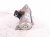 2018 Honda Accord Starter Motor 2.0l At 31200 6B2 A01 Replacement 2018 Honda Accord Starter Motor 2.0l At 31200 6B2 A01 Replacement thumbnail