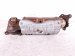 2018 Honda Accord Exhaust Manifold 2.0t 18150 6B2 L00 Replacement 2018 Honda Accord Exhaust Manifold 2.0t 18150 6B2 L00 Replacement thumbnail