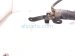 2022 Toyota Rav 4 Rear Driver Power Liftgate Strut Actuator 68960 0R110 Replacement 2022 Toyota Rav 4 Rear Driver Power Liftgate Strut Actuator 68960 0R110 Replacement thumbnail