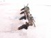 2006 Honda S2000 4 Injectors W/ Fuel Rail 2.0l Rwd 16610 PZX 00 Replacement 2006 Honda S2000 4 Injectors W/ Fuel Rail 2.0l Rwd 16610 PZX 00 Replacement thumbnail