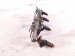 2006 Honda S2000 4 Injectors W/ Fuel Rail 2.0l Rwd 16610 PZX 00 Replacement 2006 Honda S2000 4 Injectors W/ Fuel Rail 2.0l Rwd 16610 PZX 00 Replacement thumbnail