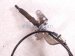 2019 Acura ILX A/t Floor Shifter Selector Wire 54315 TV9 A81 Replacement 2019 Acura ILX A/t Floor Shifter Selector Wire 54315 TV9 A81 Replacement thumbnail