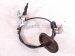 2019 Acura ILX A/t Floor Shifter Selector Wire 54315 TV9 A81 Replacement 2019 Acura ILX A/t Floor Shifter Selector Wire 54315 TV9 A81 Replacement thumbnail