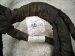 2017 Chevy Malibu Engine Wire Harness 1.5l At 6pdw 84125407 Replacement 2017 Chevy Malibu Engine Wire Harness 1.5l At 6pdw 84125407 Replacement thumbnail