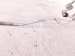 2017 Chevy Malibu Hose / / Line Ac Heat Exchanger Pipe 1.5t Sdn 85562429 Replacement 2017 Chevy Malibu Hose / / Line Ac Heat Exchanger Pipe 1.5t Sdn 85562429 Replacement thumbnail