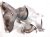 2026 Nissan Sentra Catalytic Exhaust Manifold 140E2 7SH0A Replacement 2026 Nissan Sentra Catalytic Exhaust Manifold 140E2 7SH0A Replacement thumbnail