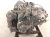 2026 Nissan Sentra Automatic Transmission = 2k Mi 31020 X262A Replacement 2026 Nissan Sentra Automatic Transmission = 2k Mi 31020 X262A Replacement thumbnail