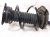 2026 Nissan Sentra Front Driver Strut Absorber + Spring E4303 7SF2A Replacement 2026 Nissan Sentra Front Driver Strut Absorber + Spring E4303 7SF2A Replacement thumbnail