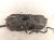 2025 Honda Civic Gas / Fuel Tank 17044 T61 A00 Replacement 2025 Honda Civic Gas / Fuel Tank 17044 T61 A00 Replacement thumbnail