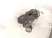 2025 Honda Civic Gas / Fuel Tank 17044 T61 A00 Replacement 2025 Honda Civic Gas / Fuel Tank 17044 T61 A00 Replacement thumbnail