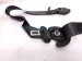 2025 Honda Civic Front Passenger Seat Belt Black 04814 T65 A00ZA Replacement 2025 Honda Civic Front Passenger Seat Belt Black 04814 T65 A00ZA Replacement thumbnail