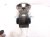 2025 Honda Civic Rear Passenger Spring Seat Lower Control Arm 52350 T20 A00 Replacement 2025 Honda Civic Rear Passenger Spring Seat Lower Control Arm 52350 T20 A00 Replacement thumbnail