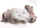 2015 Lexus Rx450h Front Exhaust Manifold 17150 31380 Replacement 2015 Lexus Rx450h Front Exhaust Manifold 17150 31380 Replacement thumbnail