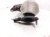 2015 Lexus Rx450h Front Exhaust Manifold 17150 31380 Replacement 2015 Lexus Rx450h Front Exhaust Manifold 17150 31380 Replacement thumbnail