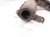 2015 Lexus Rx450h Front Exhaust Manifold 17150 31380 Replacement 2015 Lexus Rx450h Front Exhaust Manifold 17150 31380 Replacement thumbnail