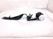 2020 Toyota Highlander Rear 2nd Row Passenger Seat Belt Black 73360 0E120 C1 Replacement 2020 Toyota Highlander Rear 2nd Row Passenger Seat Belt Black 73360 0E120 C1 Replacement thumbnail