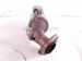 2019 Acura ILX Catalytic Converter 2.4l Fwd 18150 R4H A10 Replacement 2019 Acura ILX Catalytic Converter 2.4l Fwd 18150 R4H A10 Replacement thumbnail