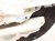 2019 Acura ILX Trim / Liner Front Driver Interior Door Panel Black 83551 TV9 A41ZH Replacement 2019 Acura ILX Trim / Liner Front Driver Interior Door Panel Black 83551 TV9 A41ZH Replacement thumbnail