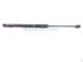 2025 Kia Carnival Front Driver Hood Shock Strut 81161 R0500 Replacement 2025 Kia Carnival Front Driver Hood Shock Strut 81161 R0500 Replacement thumbnail