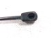 2025 Kia Carnival Front Driver Hood Shock Strut 81161 R0500 Replacement 2025 Kia Carnival Front Driver Hood Shock Strut 81161 R0500 Replacement thumbnail