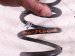 2019 Acura ILX Strut / / Shock Absorber Rear Passenger Coil Spring 2.4l Fwd 52446 T3R A01 Replacement 2019 Acura ILX Strut / / Shock Absorber Rear Passenger Coil Spring 2.4l Fwd 52446 T3R A01 Replacement thumbnail