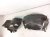 2026 Nissan Sentra Front Driver Inner Fender Liner 63841 7SF0A Replacement 2026 Nissan Sentra Front Driver Inner Fender Liner 63841 7SF0A Replacement thumbnail