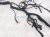 2024 Jeep Grand Cherokee Dash Instrument Wire Harness Awd 68615561AB Replacement 2024 Jeep Grand Cherokee Dash Instrument Wire Harness Awd 68615561AB Replacement thumbnail