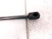2025 Honda Civic Rear Driver Tailgate Lift Support Strut 74870 T47 305 Replacement 2025 Honda Civic Rear Driver Tailgate Lift Support Strut 74870 T47 305 Replacement thumbnail