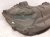 2024 Jeep Grand Cherokee Rear Driver Inner Fender Liner 68376703AF Replacement 2024 Jeep Grand Cherokee Rear Driver Inner Fender Liner 68376703AF Replacement thumbnail