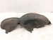 2021 Acura ILX Rear Driver Inner Fender Liner 74592 TX6 A02 Replacement 2021 Acura ILX Rear Driver Inner Fender Liner 74592 TX6 A02 Replacement thumbnail