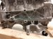 2018 Honda Accord Long Block Engine / Motor = 96k Mi 10002 6A0 A02 Replacement 2018 Honda Accord Long Block Engine / Motor = 96k Mi 10002 6A0 A02 Replacement thumbnail