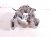 2018 Honda Accord Air + Clutch Core Core Ac Pump / Compressor 1.5 38810 6A0 A01 Replacement 2018 Honda Accord Air + Clutch Core Core Ac Pump / Compressor 1.5 38810 6A0 A01 Replacement thumbnail