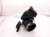 2024 Nissan Altima Air Cleaner Intake Tube 2.5l 16576 6CA0A Replacement 2024 Nissan Altima Air Cleaner Intake Tube 2.5l 16576 6CA0A Replacement thumbnail