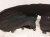 2019 Acura ILX Rear Driver Inner Fender Liner 74592 TX6 A02 Replacement 2019 Acura ILX Rear Driver Inner Fender Liner 74592 TX6 A02 Replacement thumbnail