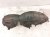2019 Acura ILX Rear Driver Inner Fender Liner 74592 TX6 A02 Replacement 2019 Acura ILX Rear Driver Inner Fender Liner 74592 TX6 A02 Replacement thumbnail