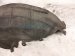 2019 Acura ILX Rear Driver Inner Fender Liner 74592 TX6 A02 Replacement 2019 Acura ILX Rear Driver Inner Fender Liner 74592 TX6 A02 Replacement thumbnail